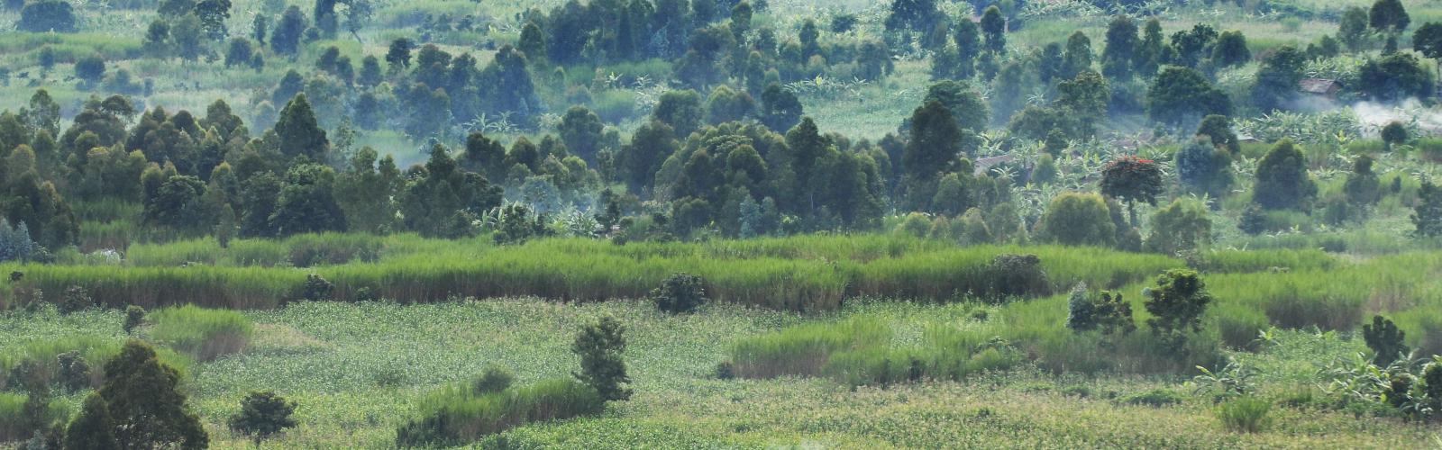 Rwanda, © Dieter Tielemans