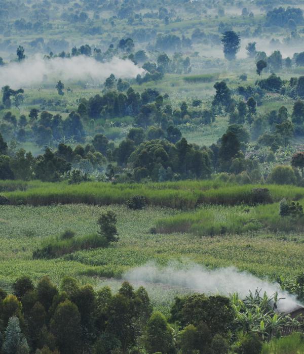 Rwanda, © Dieter Tielemans